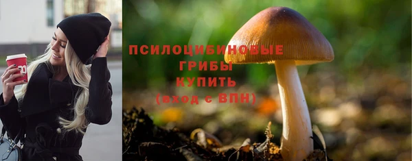 крисы Михайловка