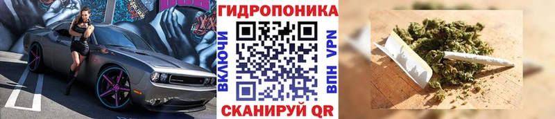 даркнет сайт Цимлянск Бошки Шишки ГИДРОПОН